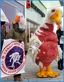 Demonstration gegen Canada Goose