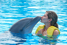 Frau küsst Delfin auf die Schnauze