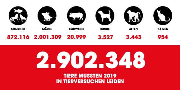 2.902.348 Tiere wurden in Deutschland im letzten Erhebungszeitraum für Tierversuche missbraucht
